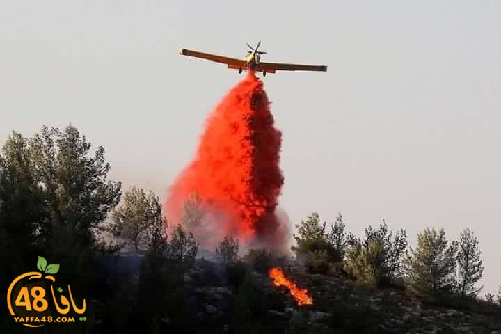 fire in isara3ewl (2).jpg